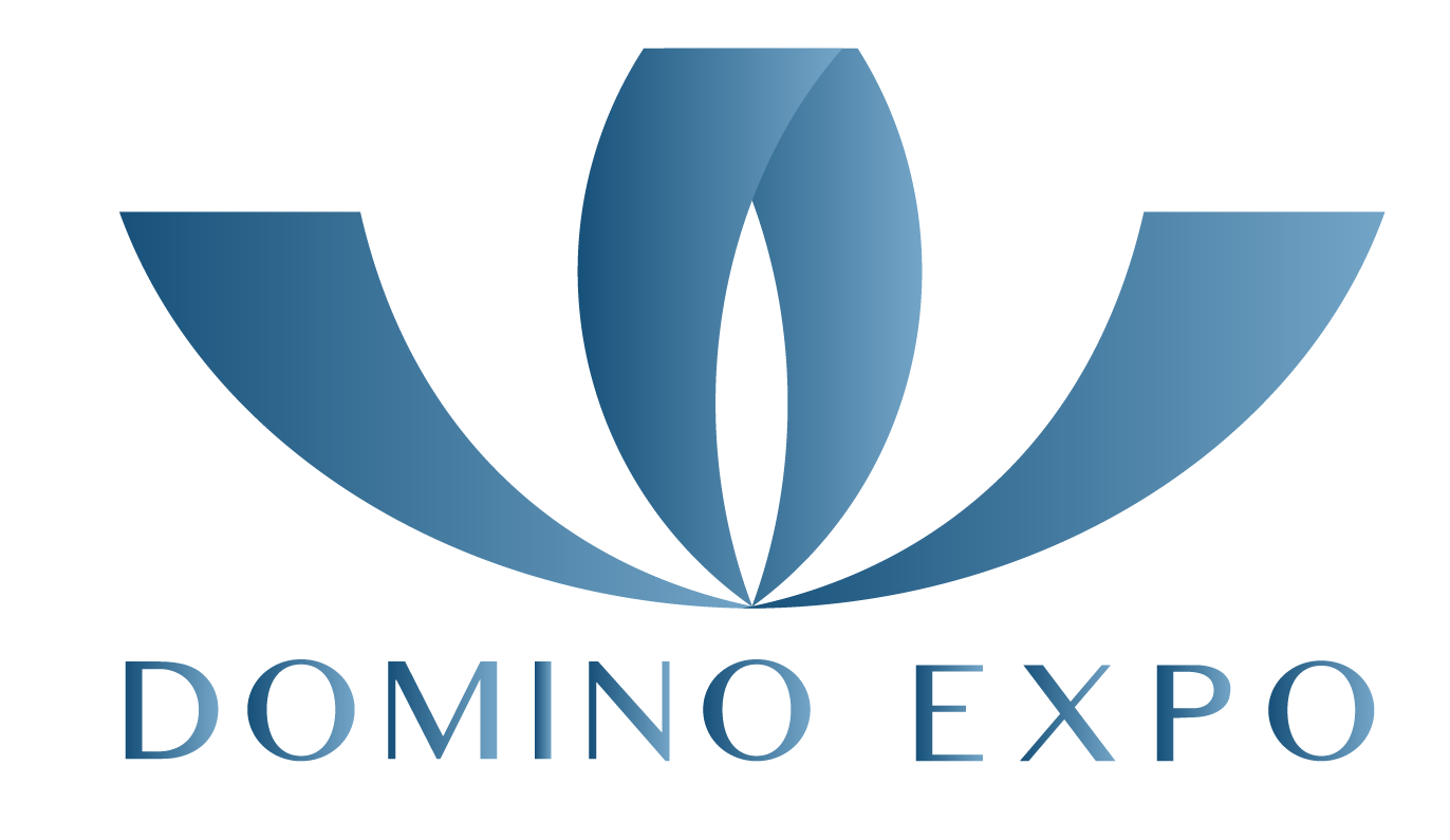 Domino Group Logo